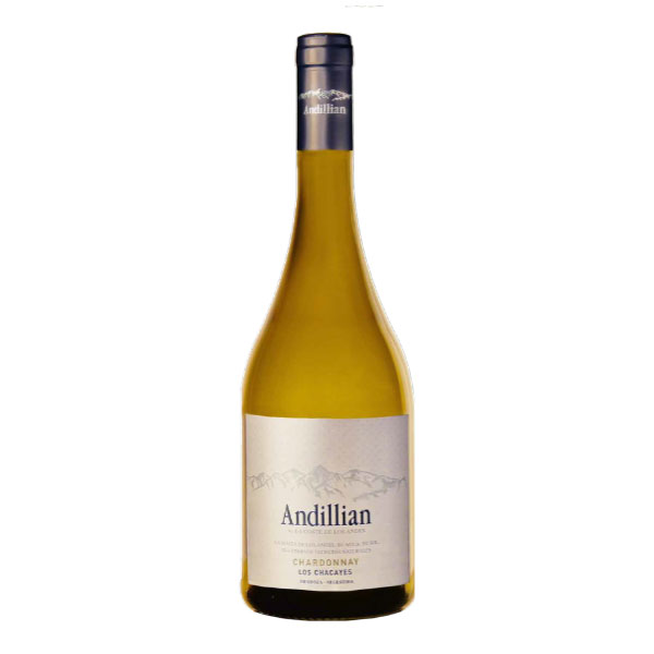 Andillian Chardonnay los Chacayes