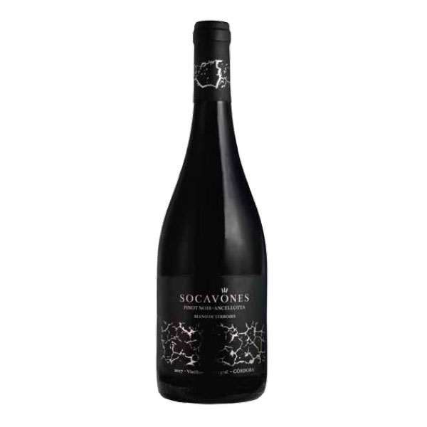 Pinot Ancellota